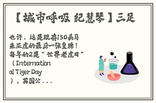 日韩黄色网站在线观看